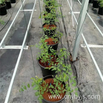 Fruit tree pot drip irrigator planting